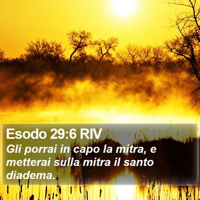 Esodo 29:6 RIV Bible Verse Image