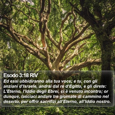Esodo 3:18 RIV Bible Verse Image