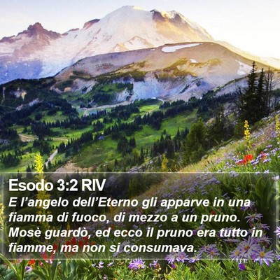 Esodo 3:2 RIV Bible Verse Image