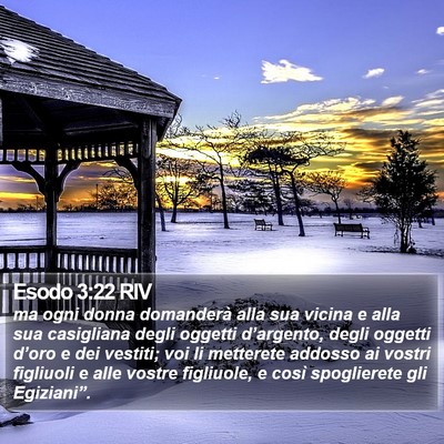Esodo 3:22 RIV Bible Verse Image