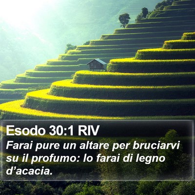 Esodo 30:1 RIV Bible Verse Image
