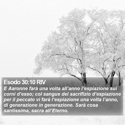 Esodo 30:10 RIV Bible Verse Image