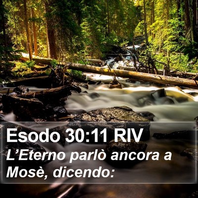 Esodo 30:11 RIV Bible Verse Image