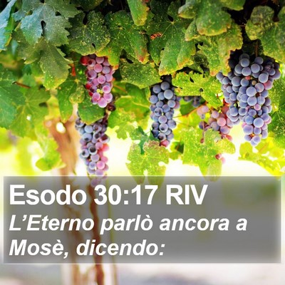 Esodo 30:17 RIV Bible Verse Image
