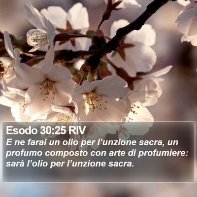 Esodo 30:25 RIV Bible Verse Image