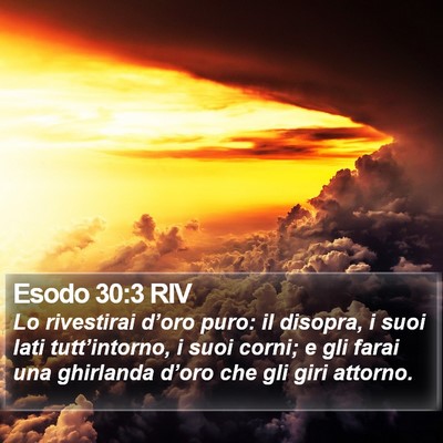 Esodo 30:3 RIV Bible Verse Image