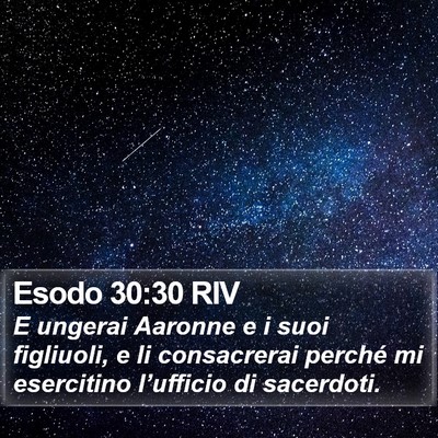 Esodo 30:30 RIV Bible Verse Image