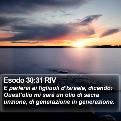 Esodo 30:31 RIV Bible Verse Image