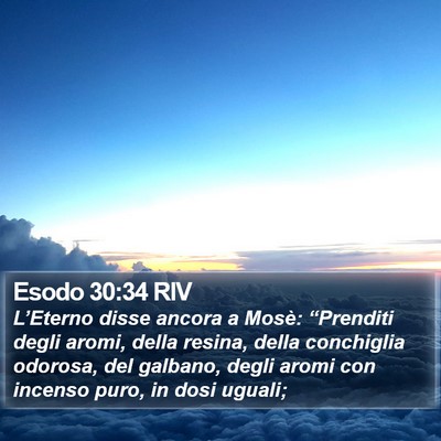 Esodo 30:34 RIV Bible Verse Image