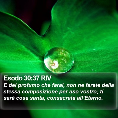 Esodo 30:37 RIV Bible Verse Image