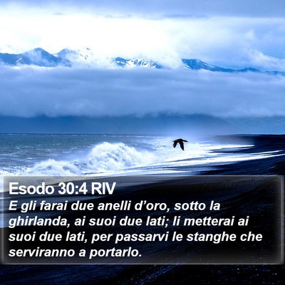 Esodo 30:4 RIV Bible Verse Image