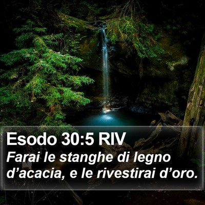 Esodo 30:5 RIV Bible Verse Image
