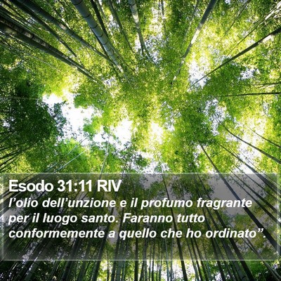 Esodo 31:11 RIV Bible Verse Image