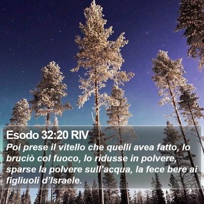 Esodo 32:20 RIV Bible Verse Image