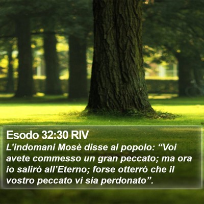 Esodo 32:30 RIV Bible Verse Image