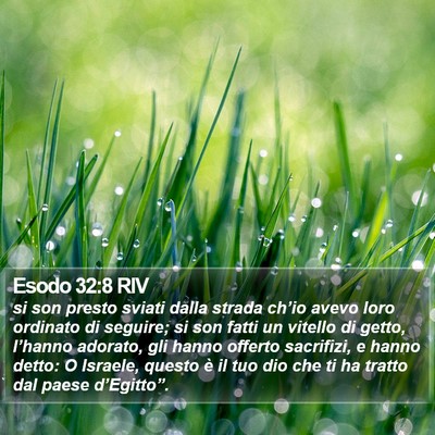Esodo 32:8 RIV Bible Verse Image