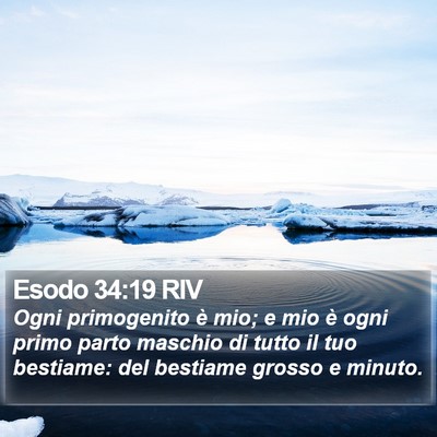 Esodo 34:19 RIV Bible Verse Image