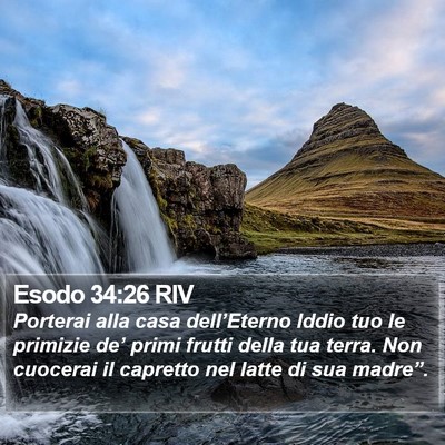 Esodo 34:26 RIV Bible Verse Image