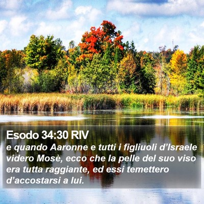 Esodo 34:30 RIV Bible Verse Image