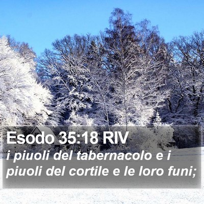 Esodo 35:18 RIV Bible Verse Image