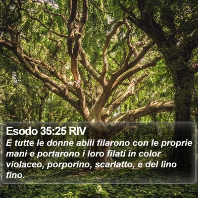 Esodo 35:25 RIV Bible Verse Image