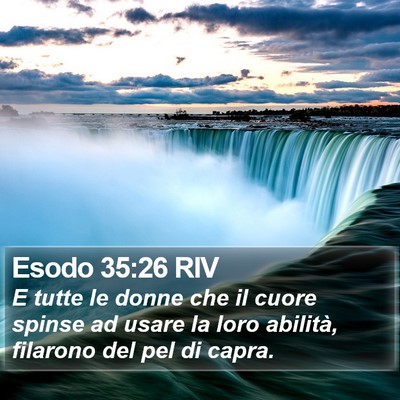 Esodo 35:26 RIV Bible Verse Image