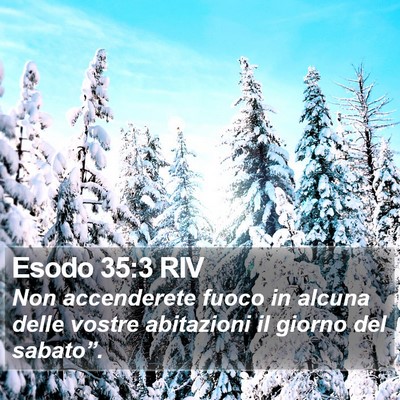 Esodo 35:3 RIV Bible Verse Image