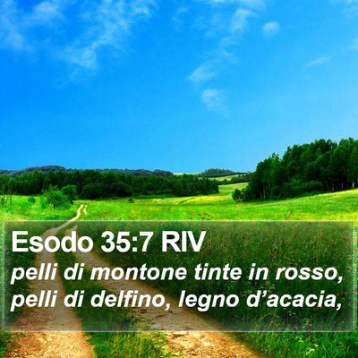 Esodo 35:7 RIV Bible Verse Image