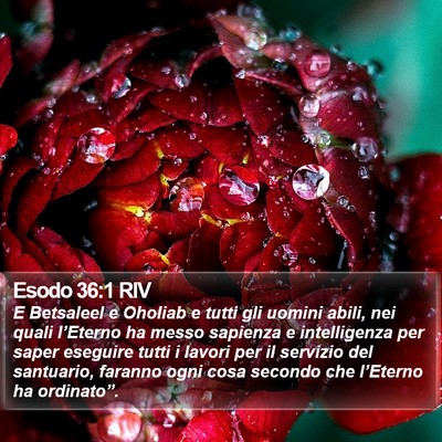 Esodo 36:1 RIV Bible Verse Image