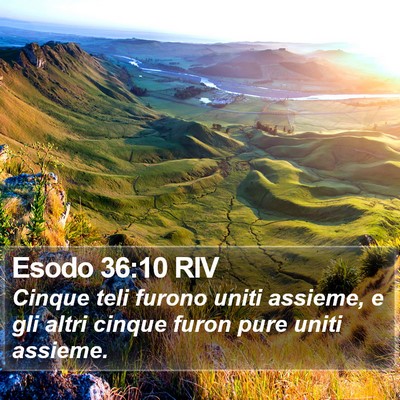 Esodo 36:10 RIV Bible Verse Image