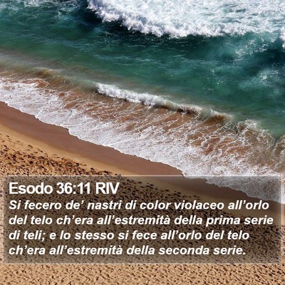Esodo 36:11 RIV Bible Verse Image