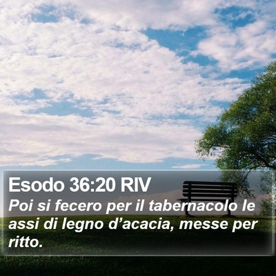 Esodo 36:20 RIV Bible Verse Image