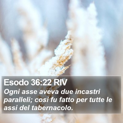 Esodo 36:22 RIV Bible Verse Image