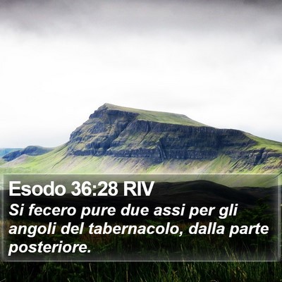 Esodo 36:28 RIV Bible Verse Image