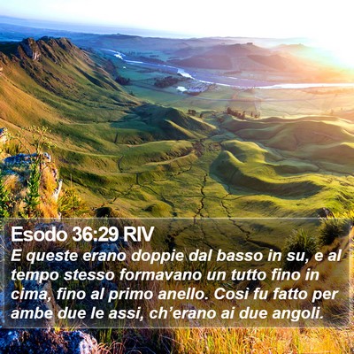 Esodo 36:29 RIV Bible Verse Image