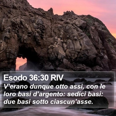 Esodo 36:30 RIV Bible Verse Image