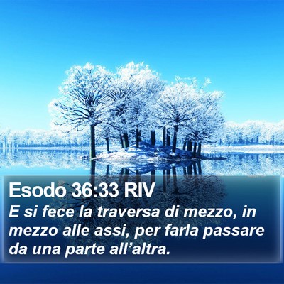 Esodo 36:33 RIV Bible Verse Image
