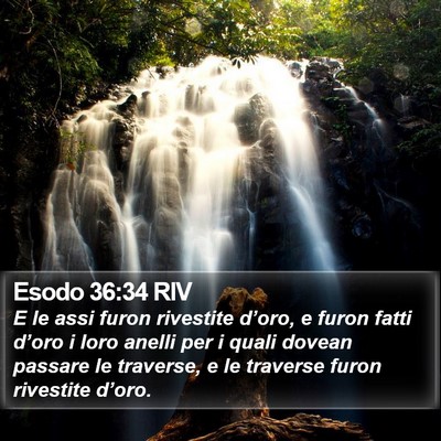 Esodo 36:34 RIV Bible Verse Image