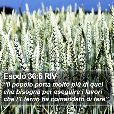 Esodo 36:5 RIV Bible Verse Image