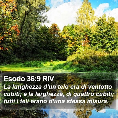 Esodo 36:9 RIV Bible Verse Image