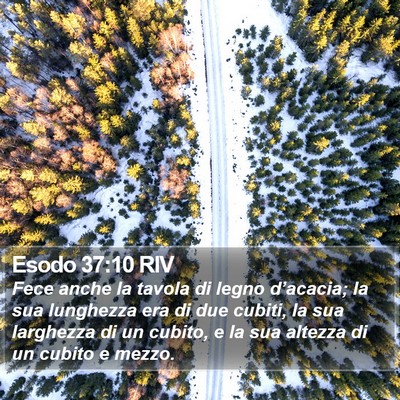 Esodo 37:10 RIV Bible Verse Image