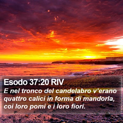 Esodo 37:20 RIV Bible Verse Image