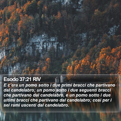 Esodo 37:21 RIV Bible Verse Image