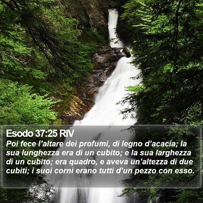 Esodo 37:25 RIV Bible Verse Image