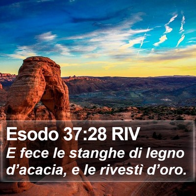 Esodo 37:28 RIV Bible Verse Image