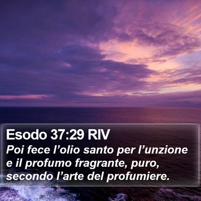 Esodo 37:29 RIV Bible Verse Image