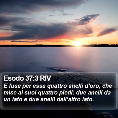 Esodo 37:3 RIV Bible Verse Image