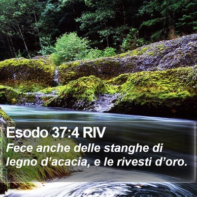 Esodo 37:4 RIV Bible Verse Image