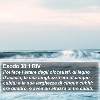 Esodo 38:1 RIV Bible Verse Image