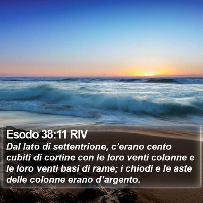 Esodo 38:11 RIV Bible Verse Image